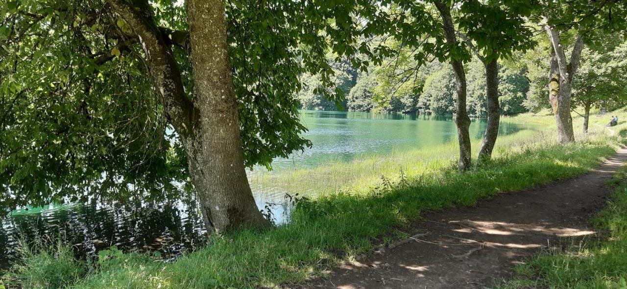 Ferienwohnung Mohrs Mehren  Buitenkant foto